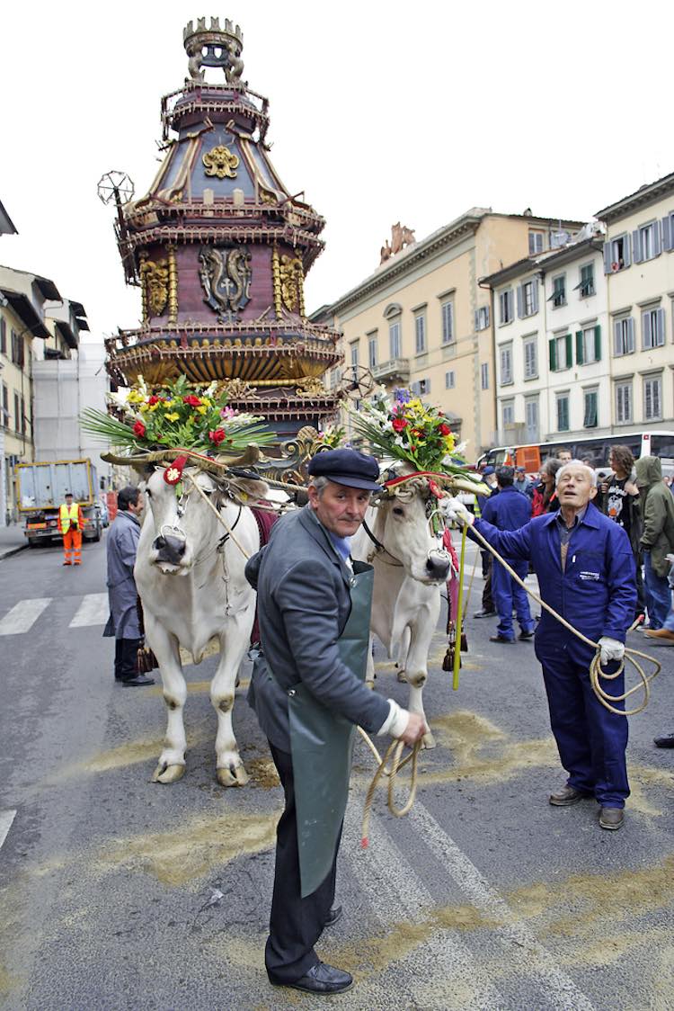 carro pasqua firenze carro pasqua firenze