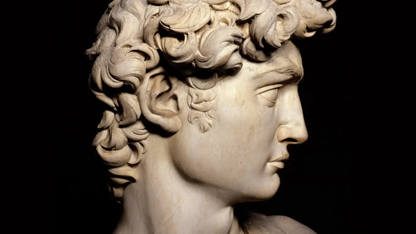 1504, The Mystery of David’s Expression