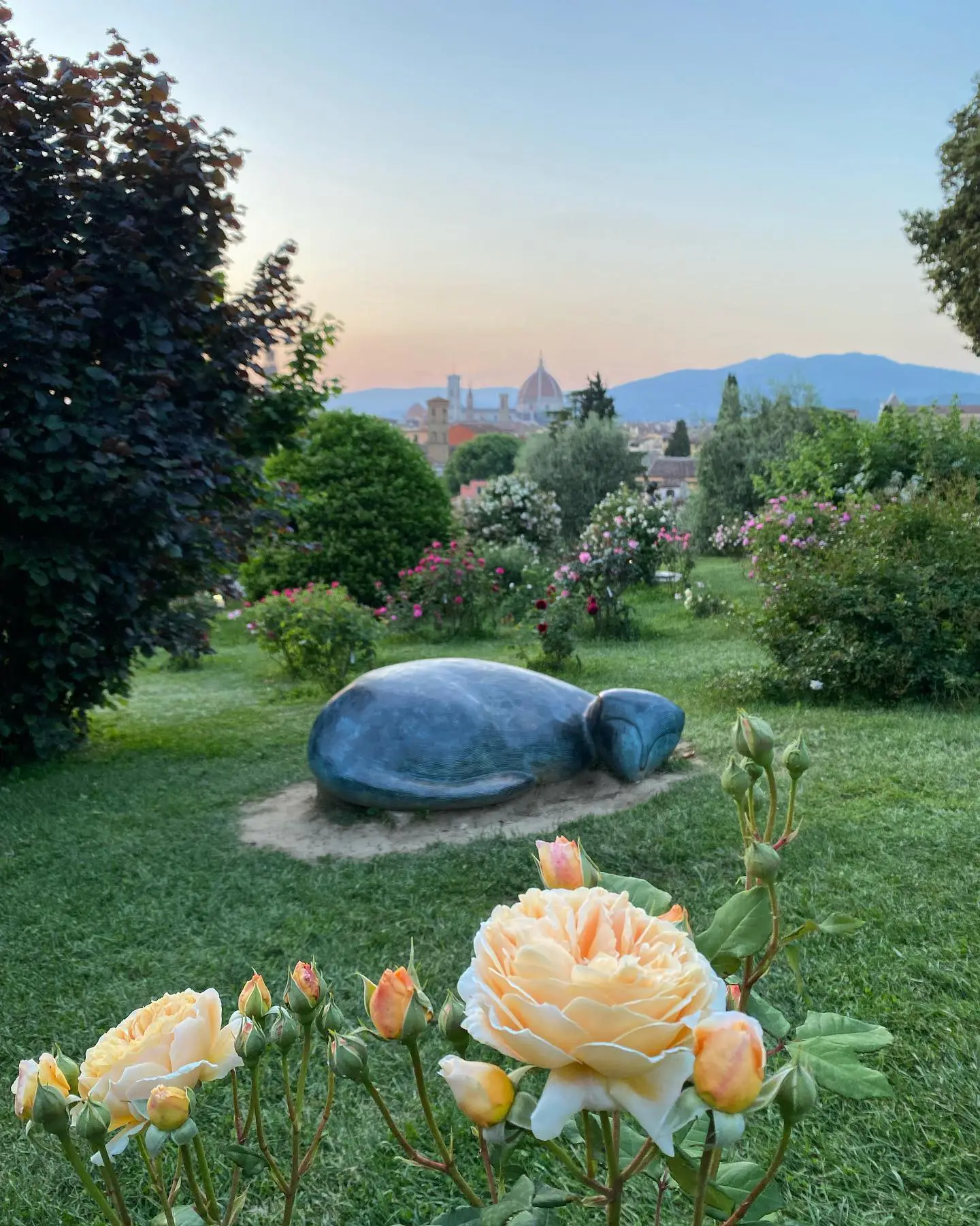 florence roses garden2 florence roses garden2